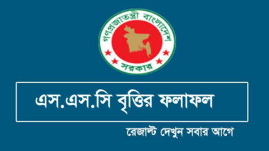 ssc scholarship result 2020 এস এস সি বৃত্তি রেজাল্