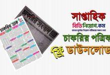 weekly job newspaper download