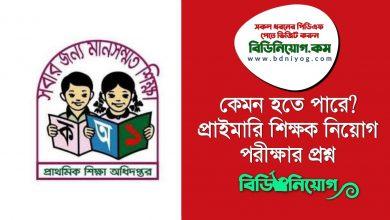 Primary Teacher Job Question PDF